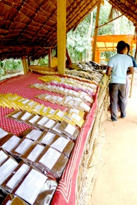 Spice Farm, Zanzibar